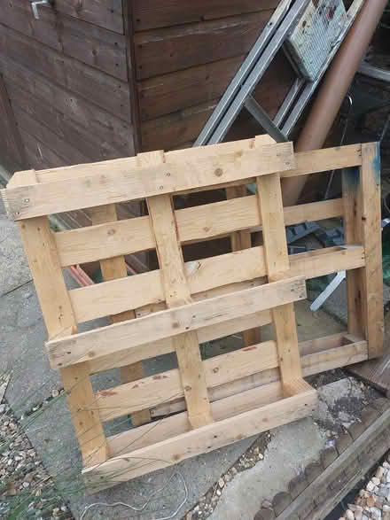 Photo of free Pallets (Burgess Hill RH15 8NU) #1