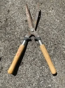 Photo of free Hedge Shears (North Everett) #1