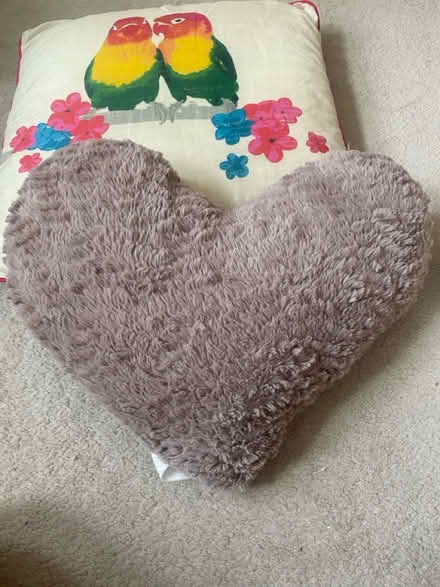 Photo of free Cute scatter cushions (Barking IG11) #3