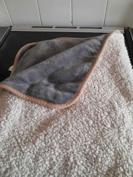 Photo of free Dog blankets (wantage Oxfordshire OX12) #1