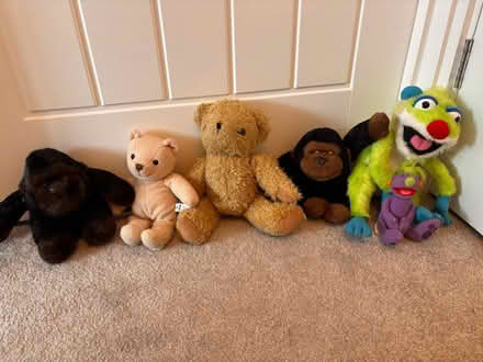 Photo of free Soft Toy bundle (Poplars SG2) #1