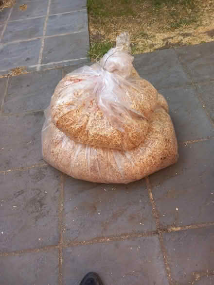 Photo of free Sawdust Wood Shavings (Oxford OX4) #2