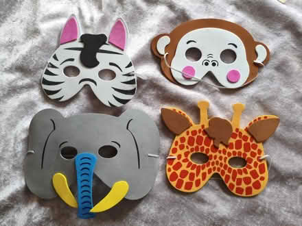 Photo of free Children birthday masks (Jerrymoor Hill Finch RG40) #1