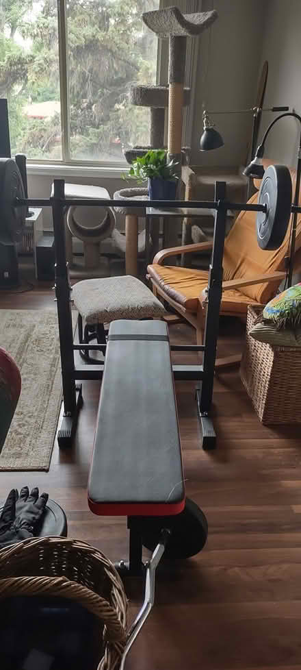 Photo of free Bench Press, weights, Dumbells (Bloomington) #1