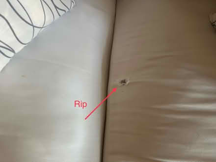 Photo of free White Comfy Sofa 90” (Naples 34109) #3