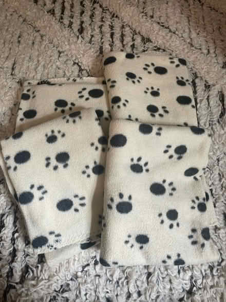 Photo of free Cat/ dog small blankets x4 (Acton W3) #1