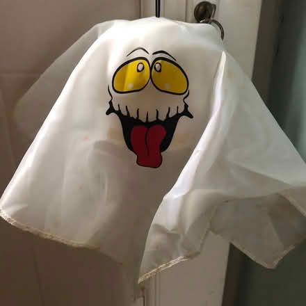 Photo of free Ghost toy (Westbury Wilts BA13) #1