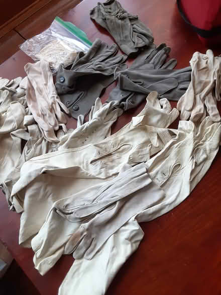 Photo of free Lovely leather gloves (Jamaica Plain) #1
