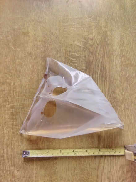 Photo of free Slug traps (Fareham PO15) #2