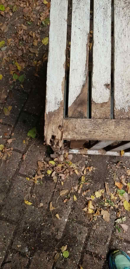 Photo of free Garden box planters (Totteridge HW HP13) #3
