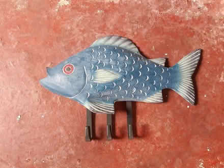 Photo of free Wall Coats Hanger (Maidenhead SL6) #1