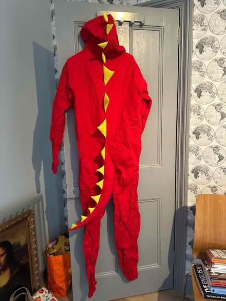 Photo of free Fancy dress clothes & wigs (Bushey Village WD23) #4