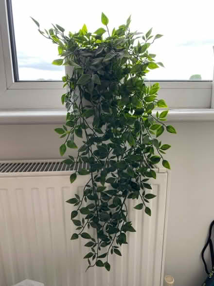 Photo of free Fake hanging plant in pot (Putney SW15) #2