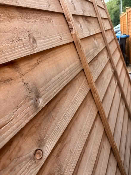 Photo of free Fence panel - just one (Chessington KT9) #2