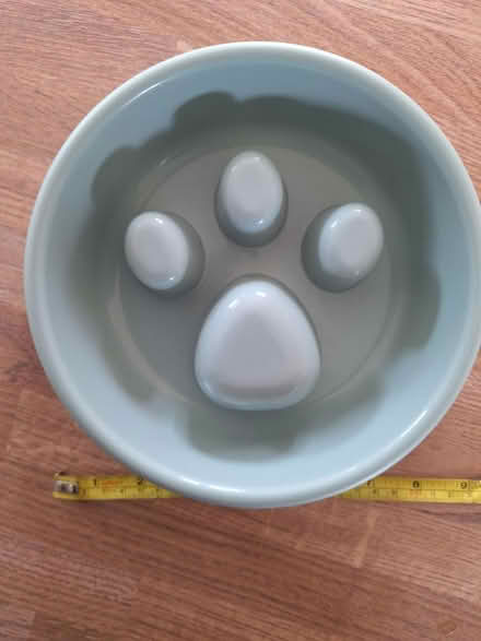 Photo of free Slow feed pet bowl (Pemberton WN5) #1