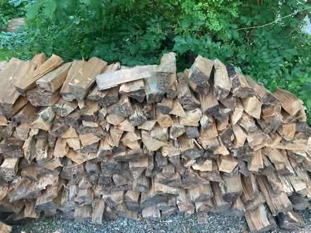 Photo of free split (potential) firewood (Goldens Bridge, NY) #1