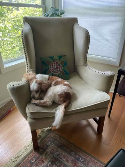 Photo of free Antique Wingback Chair (Wilmette - Lake & Illinois) #1