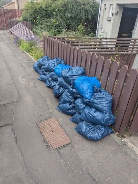 Photo of free Top Soil (East Craigs EH12) #2