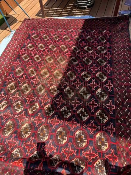 Photo of free Handknotted wool rug (Shaw) #1