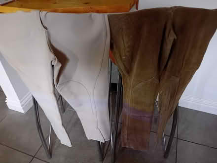 Photo of free Jodphurs (Watlington OX49) #1