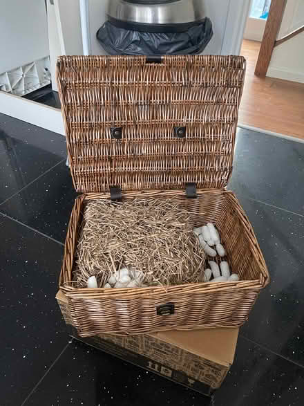 Photo of free Wicker gift basket. (Bethnal Green E2) #2