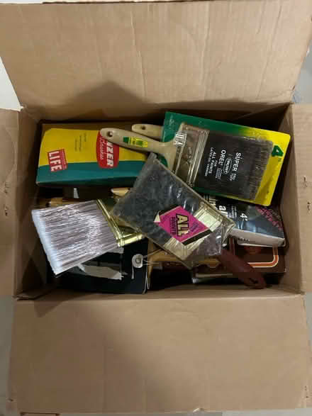 Photo of free Paint brushes (North Aurora) #1