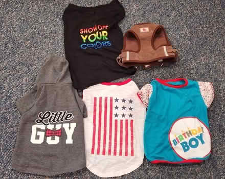 Photo of free L and XL Dog Clothes #1