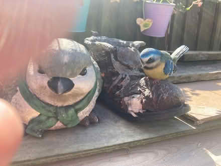 Photo of free Pots and pot holders (W12) #4