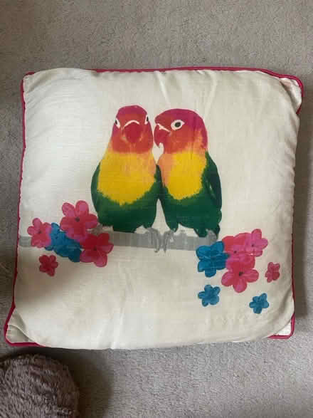 Photo of free Cute scatter cushions (Barking IG11) #2