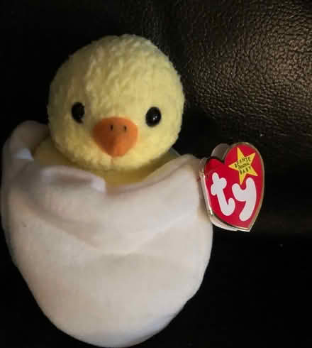 Photo of free TY toy (Westbury BA13) #1