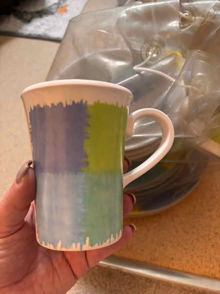 Photo of free Plastic bowls, plates and mugs. (Poplars SG2) #1