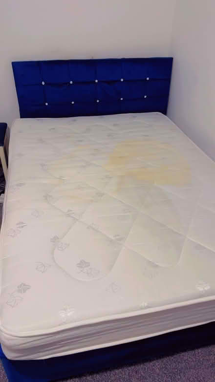 Photo of free Bed with mattress (East calder EH53 0un) #1
