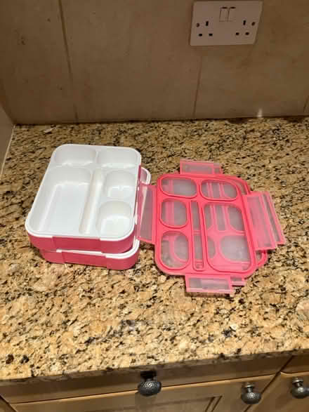 Photo of free Plastic bento boxes (London) #3
