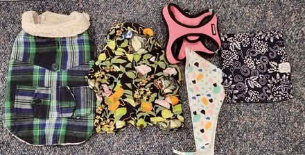 Photo of free S and M Dog Clothes #1