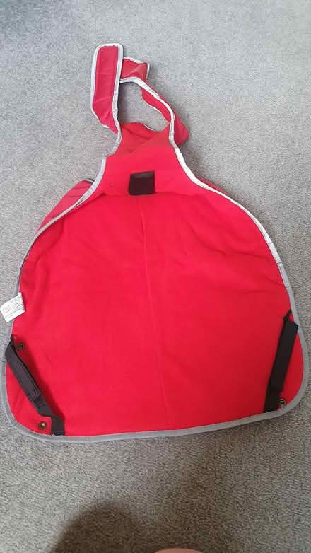 Photo of free Red dog coat (Ewyas Harold, HR2) #3
