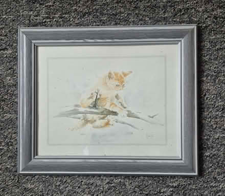 Photo of free Cat watercolour print (Leigh Park PO9) #1