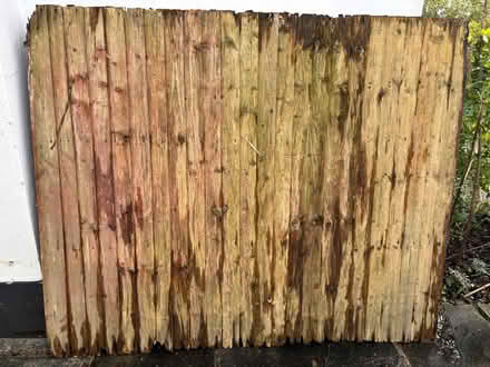 Photo of free Used fence panels - 3 (Oxhey Hall WD19) #2