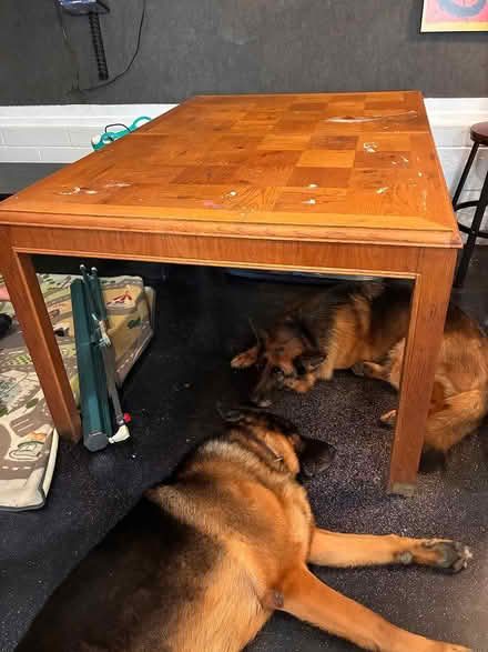 Photo of free Table -heavy wood (Arnold md) #1