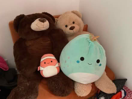 Photo of free Soft toys, mainly frogs+ 2 large teddies (Chipping Ongar CM5) #1