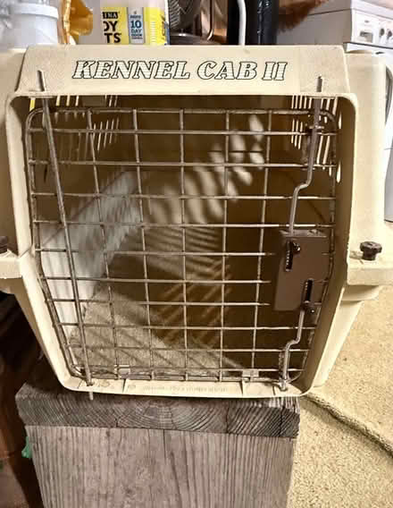Photo of free Cat Plastic Animal Carrier (Pflugerville, near PES) #2