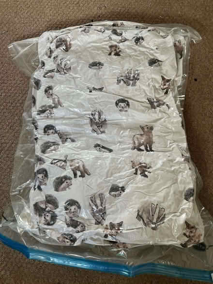 Photo of free Feather duvet, single size, from IKEA (Marston OX3) #1