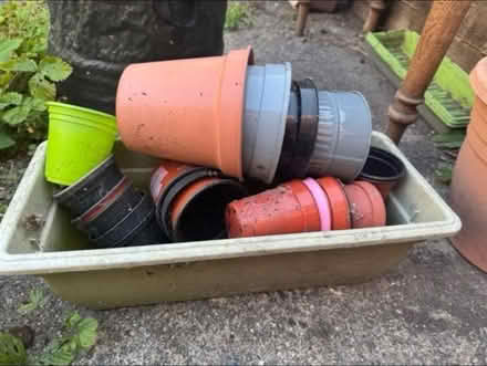 Photo of free Plastic plant pots (Brookvale RG21) #1