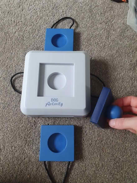 Photo of free Dog activity toy (Swindon SN1) #2