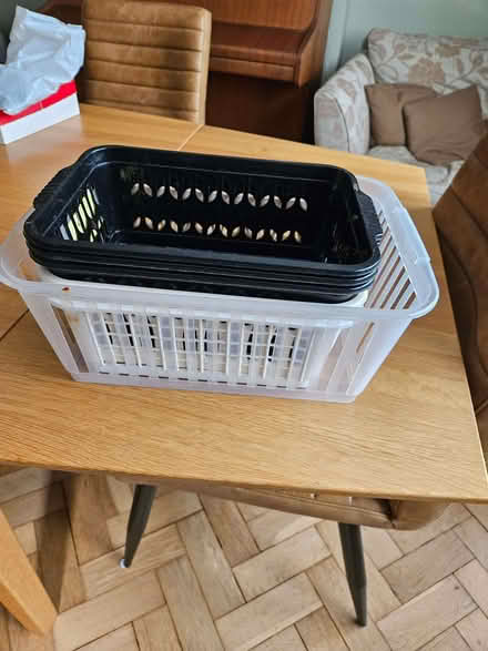 Photo of free Plastic baskets (St Stephens AL3) #1