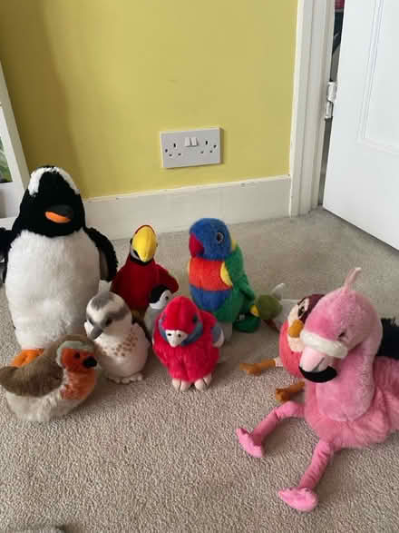 Photo of free Cuddly toy birds (Lee, SE12) #1