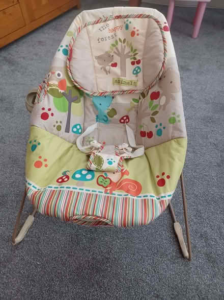 Photo of free Baby bouncer (Bedford MK40) #2