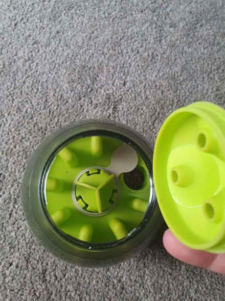 Photo of free Dog - toy treat dispenser (Swindon SN1) #2