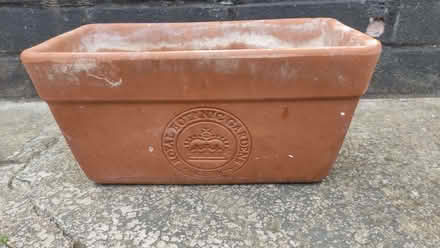 Photo of free Plant pot (Perivale W5) #2