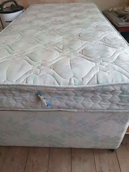 Photo of free Single bed (Bellingham SE6) #1