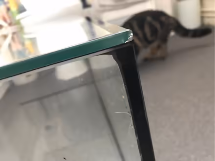 Photo of free Cracked Lidless Fish Tank (Dudley Hill BD4) #3